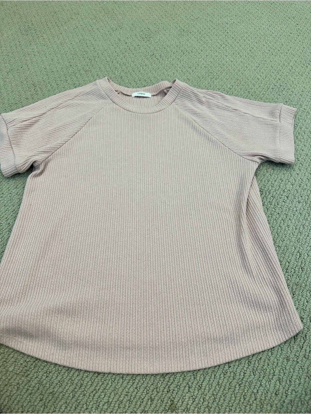 Cherish Ribbed Short Sleeve Top in Light Mauve